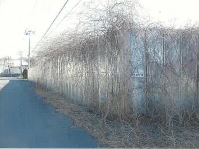 北海道小樽市 銭函駅26分 土地 759万円の競売物件 #5