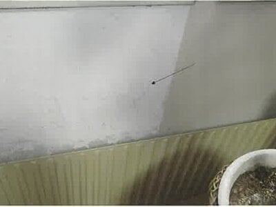 北海道札幌市手稲区 星置駅10分 戸建て 1,292万円の競売物件 #6