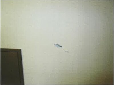 北海道千歳市 千歳駅 戸建て 2,508万円の競売物件 #8