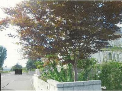 北海道石狩市 篠路駅 戸建て 618万円の競売物件 #7