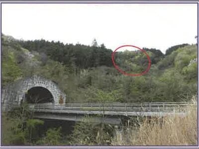 山梨県南巨摩郡身延町 身延駅17分 土地 47万円の競売物件 #1