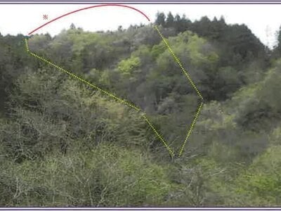 山梨県南巨摩郡身延町 身延駅17分 土地 47万円の競売物件 #2
