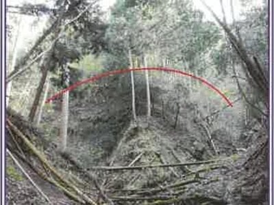 山梨県南巨摩郡身延町 身延駅17分 土地 47万円の競売物件 #3