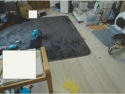 山梨県韮崎市 韮崎駅22分 戸建て 1,371万円の競売物件 #13