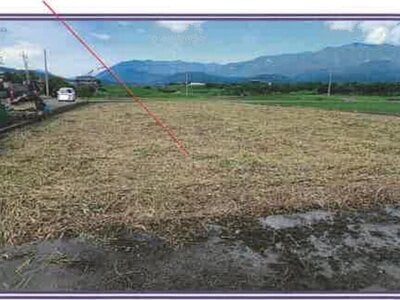 山梨県西八代郡市川三郷町 市川大門駅10分 農地 110万円の競売物件 #4