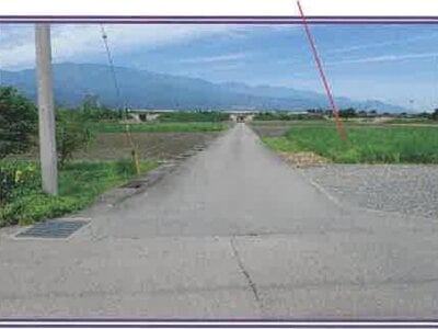 山梨県西八代郡市川三郷町 市川大門駅10分 農地 110万円の競売物件 #9