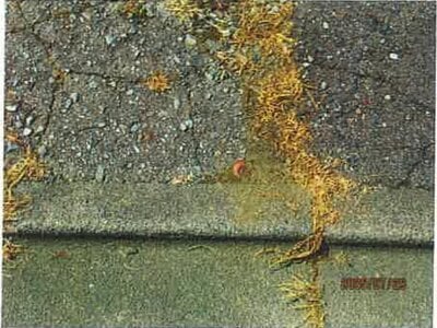 長野県木曽郡木曽町 原野駅22分 土地 143万円の競売物件 #5