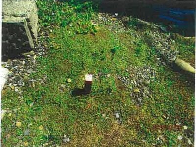 長野県木曽郡木曽町 原野駅22分 土地 143万円の競売物件 #6