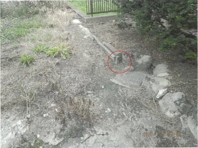 長野県駒ヶ根市 伊那福岡駅12分 戸建て 261万円の競売物件 #9