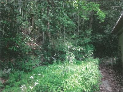 岐阜県多治見市 古虎渓駅 戸建て 65万円の競売物件 #26