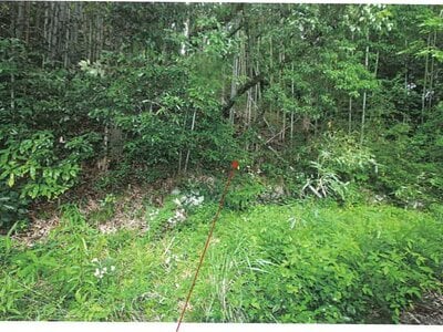 岐阜県多治見市 古虎渓駅 戸建て 65万円の競売物件 #6