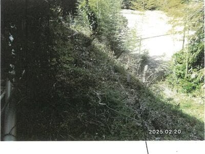 三重県度会郡度会町 田丸駅 農地 49万円の競売物件 #5