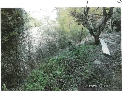 三重県度会郡度会町 田丸駅 農地 49万円の競売物件 #6