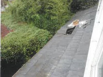 熊本県球磨郡錦町 一武駅25分 戸建て 60万円の競売物件 #17