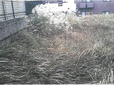 (値下げ) 鹿児島県鹿児島市 広木駅22分 土地 381万円の競売物件 #5