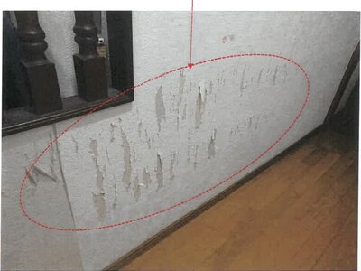 鹿児島県姶良市 錦江駅7分 戸建て 699万円の競売物件 #13