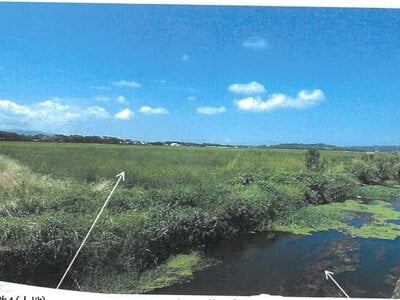 鹿児島県出水市 高尾野駅 農地 517万円の競売物件 #6