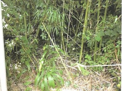 鹿児島県指宿市 宮ヶ浜駅26分 農地 59万円の競売物件 #4