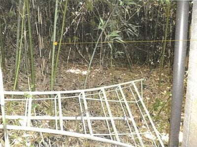 鹿児島県指宿市 宮ヶ浜駅26分 農地 59万円の競売物件 #5