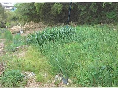 (値下げ) 宮城県石巻市 陸前山下駅11分 農地 51万円の競売物件 #2