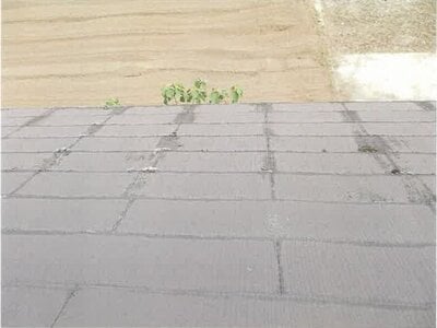 大分県中津市 中津駅21分 戸建て 554万円の競売物件 #24