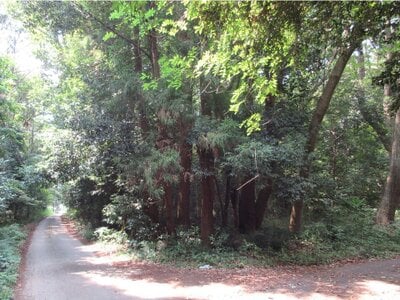 栃木県小山市 間々田駅 土地 188万円の国税庁公売物件 #2