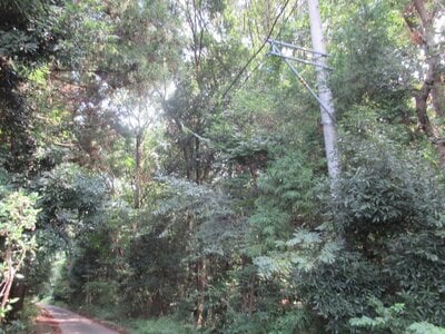 栃木県小山市 間々田駅 土地 1,240万円の国税庁公売物件 #2