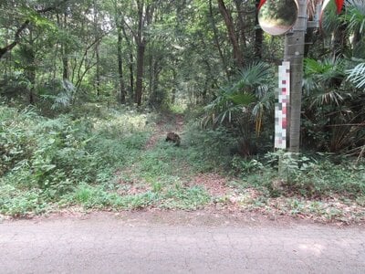 栃木県小山市 間々田駅 土地 1,240万円の国税庁公売物件 #3