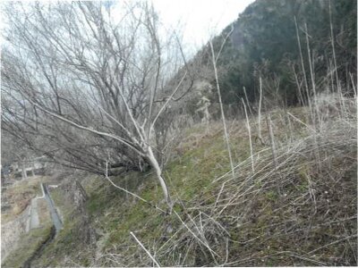 (値下げ) 岩手県上閉伊郡大槌町 戸建て 36万円の競売物件 #2