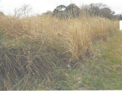 茨城県北茨城市 大津港駅 土地 146万円の競売物件 #2