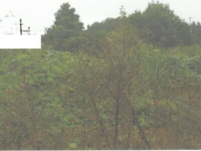 茨城県水戸市 赤塚駅11分 土地 317万円の競売物件 #1