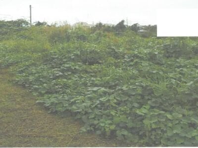 茨城県水戸市 赤塚駅11分 土地 317万円の競売物件 #2