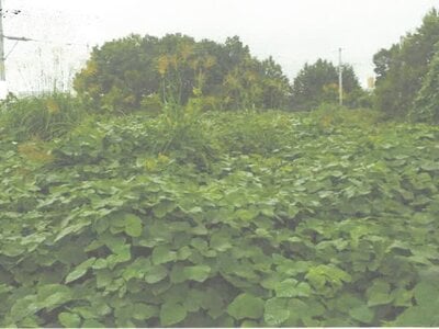 茨城県水戸市 赤塚駅11分 土地 317万円の競売物件 #3