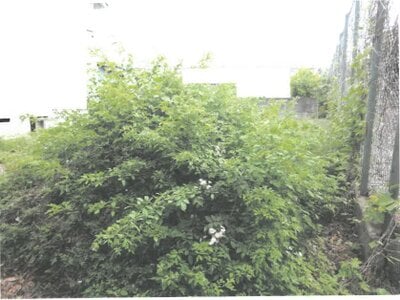 茨城県桜川市 筑波山頂駅 土地 40万円の競売物件 #2