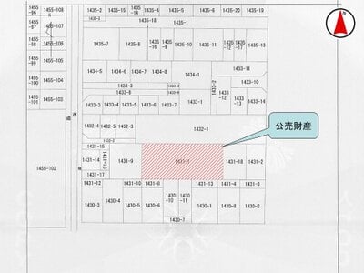 大阪府東大阪市 東花園駅9分 戸建て 778万円の国税庁公売物件 #4