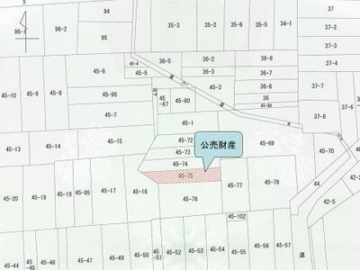 大阪府大阪市天王寺区 桃谷駅10分 戸建て 1,088万円の国税庁公売物件 #2