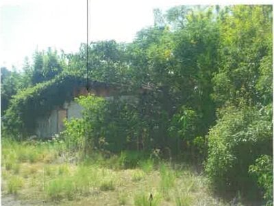 静岡県焼津市 西焼津駅 戸建て 928万円の競売物件 #10