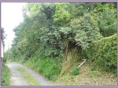 (値下げ) 静岡県牧之原市 戸建て 94万円の競売物件 #11