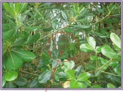 (値下げ) 静岡県牧之原市 戸建て 94万円の競売物件 #12