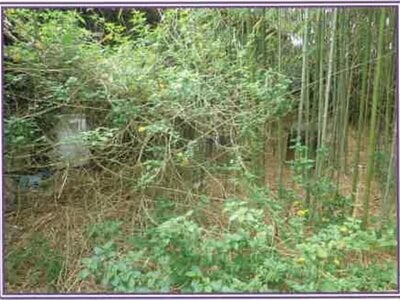 (値下げ) 静岡県牧之原市 戸建て 94万円の競売物件 #13