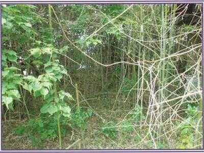 (値下げ) 静岡県牧之原市 戸建て 94万円の競売物件 #14