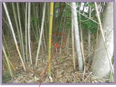 (値下げ) 静岡県牧之原市 戸建て 94万円の競売物件 #16