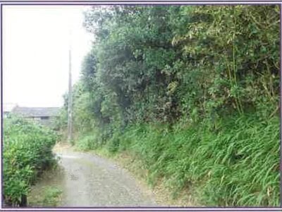 (値下げ) 静岡県牧之原市 戸建て 94万円の競売物件 #5