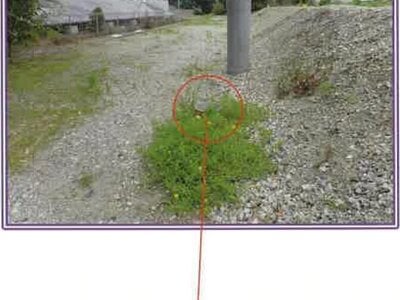 (値下げ) 静岡県牧之原市 戸建て 94万円の競売物件 #7