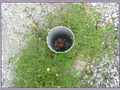 (値下げ) 静岡県牧之原市 戸建て 94万円の競売物件 #8