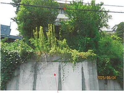 静岡県田方郡函南町 函南駅18分 戸建て 122万円の競売物件 #2