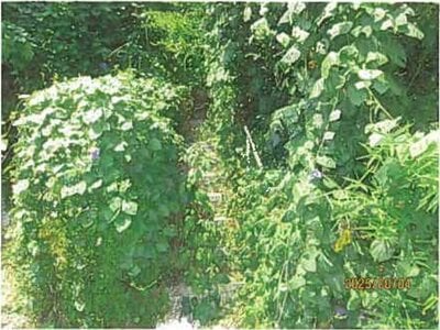 静岡県田方郡函南町 函南駅18分 戸建て 122万円の競売物件 #9