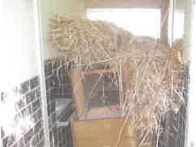 滋賀県東近江市 河辺の森駅13分 戸建て 313万円の競売物件 #26