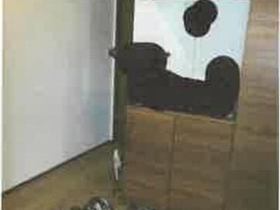 滋賀県愛知郡愛荘町 愛知川駅3分 戸建て 1,247万円の競売物件 #7