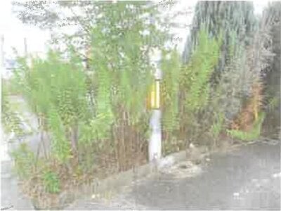 滋賀県東近江市 太郎坊宮前駅4分 戸建て 2,894万円の競売物件 #4